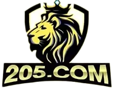 205 slot